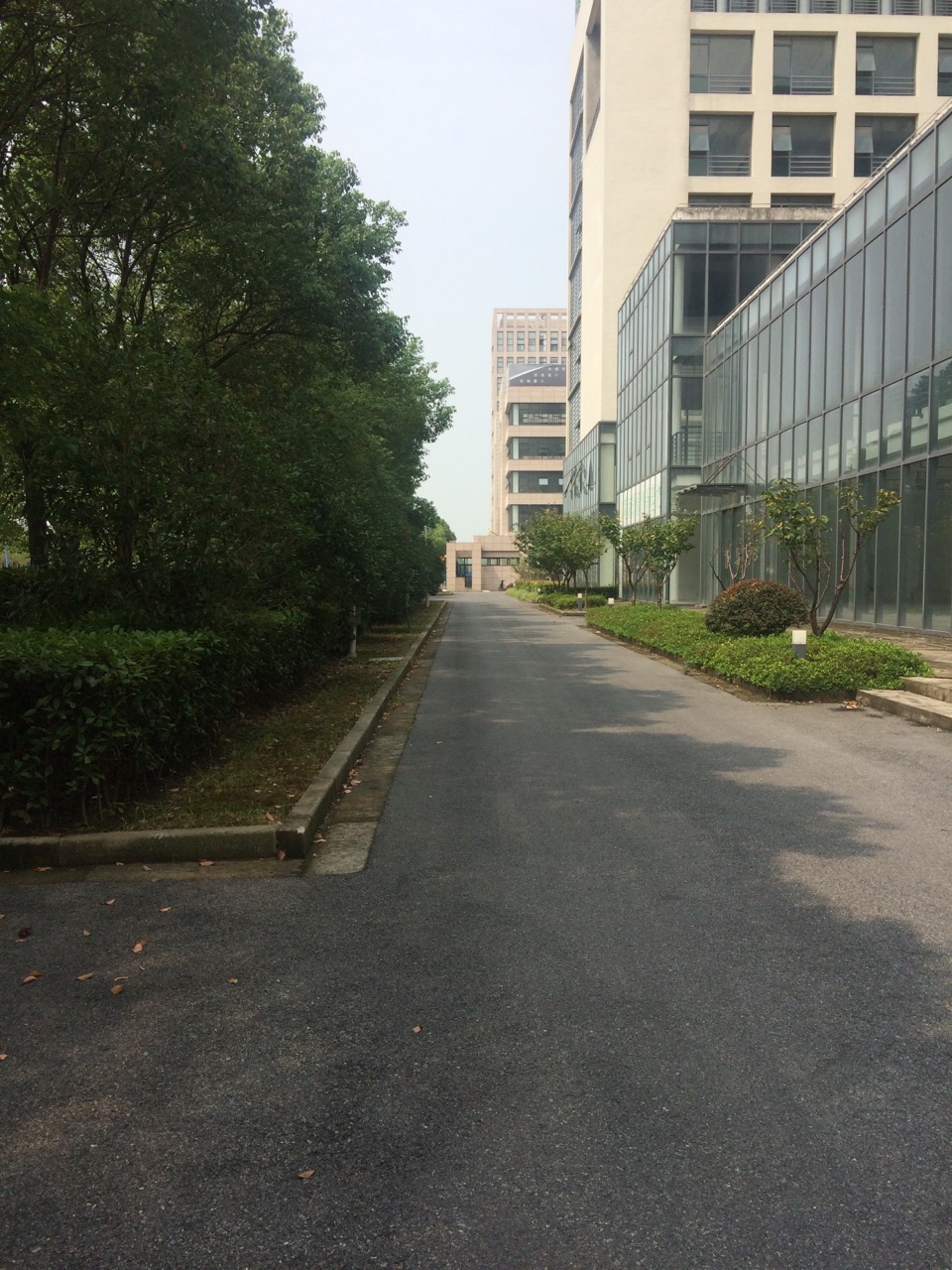 办公正门图