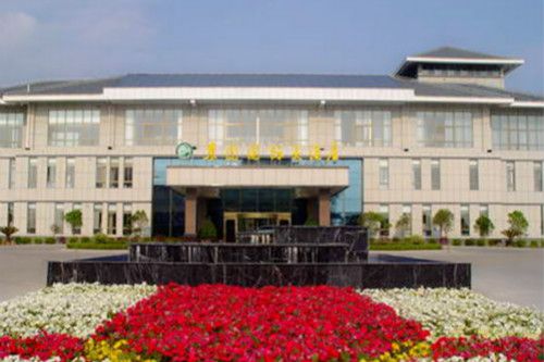 园区鸟瞰