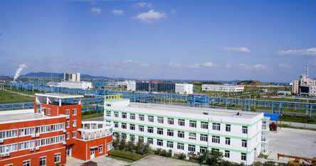 园区鸟瞰
