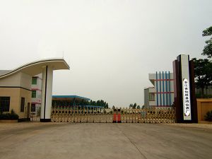 园区鸟瞰