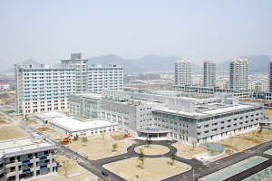园区近照