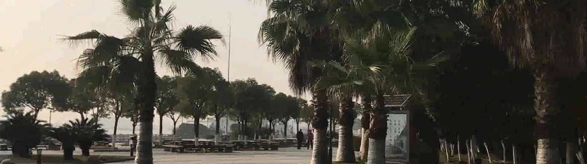 浙江定海工业园区