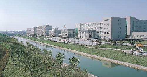 园区鸟瞰
