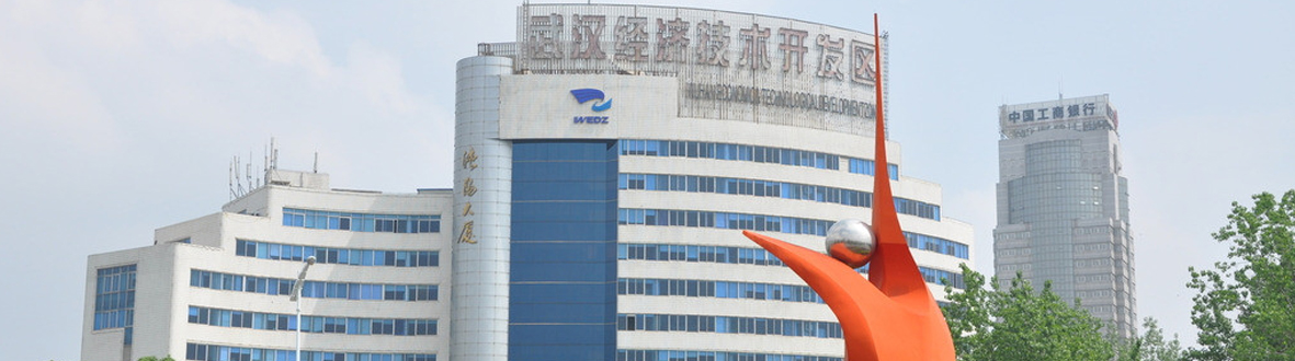 武汉经济技术开发区