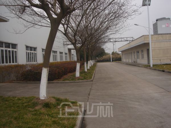 祝桥园区单层精装修厂房出租