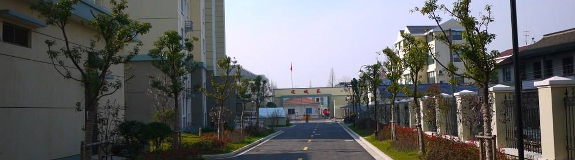上海临港泥城分城区