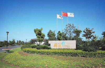 园区鸟瞰