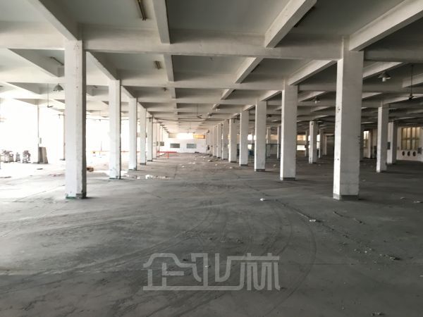 练塘工业区 独门独院双层厂房9600平