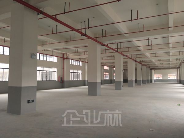 车墩工业区 104版块楼上厂房2500平 4米