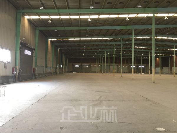 松江老城区 单层厂房16300平 可做球馆 展厅