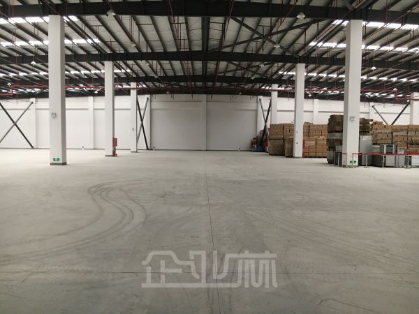 莘砖公路 高平台双层厂房 仓库 12000平