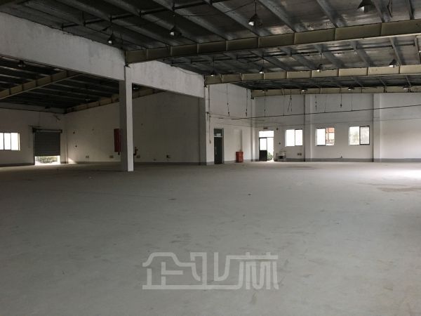 单层厂房仓库1150平 层高6.5米 可做快递 汽修厂
