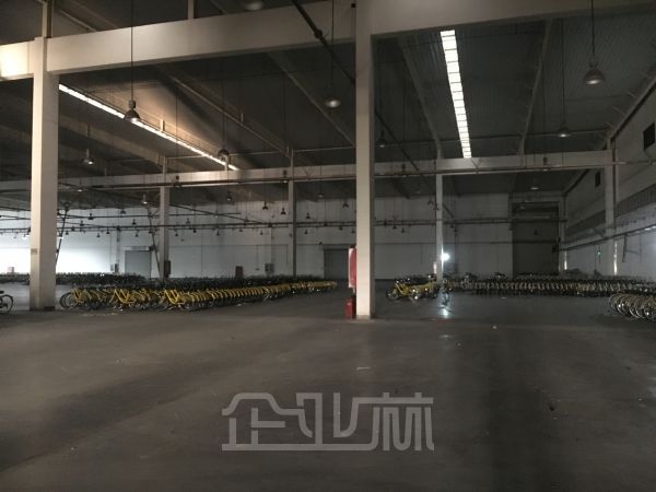 莘庄工业区单层厂房仓库 12000平14米 可分租