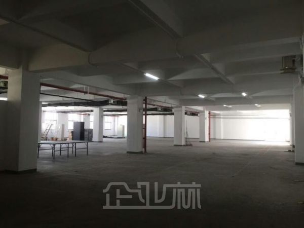 莘庄工业区近地铁104板块四层厂房10000平