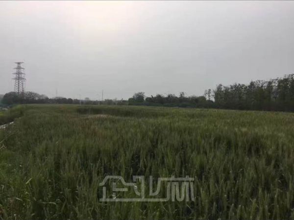 昆山张浦工业园