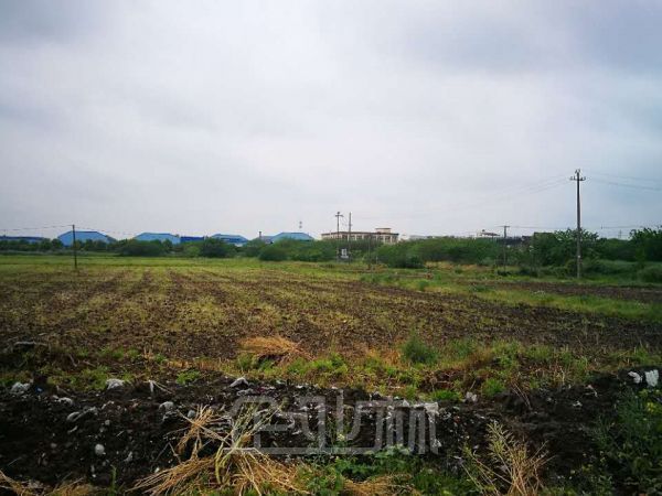 土地正门图