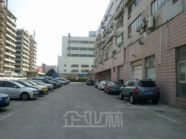 金桥底楼带门面270平方米出租