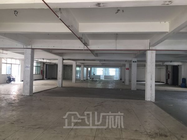洞泾沪松公路3866号仓库办公出租