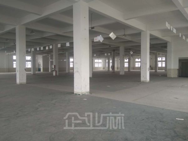 嘉定南翔5600平米双层厂房
