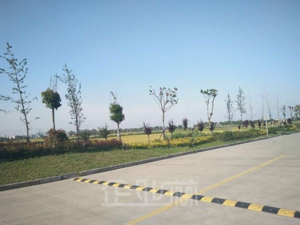 海盐120亩土地出售  可分割    价格：300000元/亩