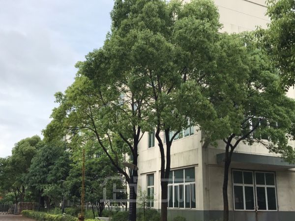 浙江海宁厂房出租