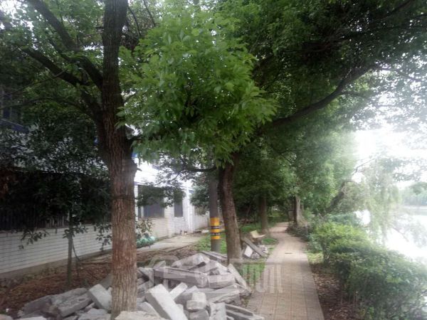 厂房正门图