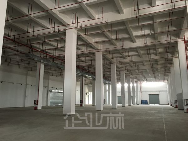 有产权，层高10米，可小面积分割，有巴士