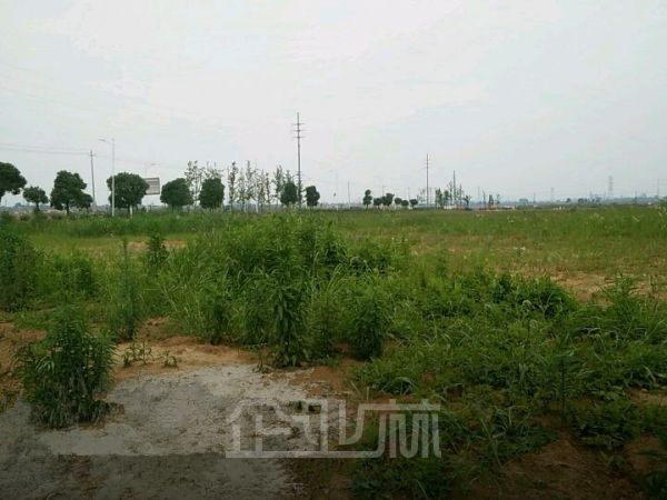 溧阳经开区有指标土地99亩出让 售价：20万元/亩