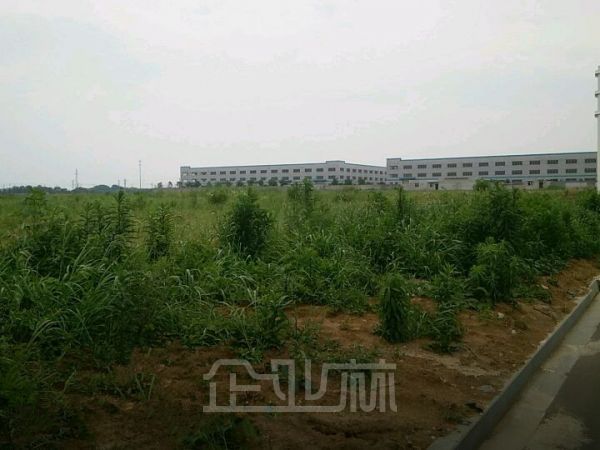 土地正门图