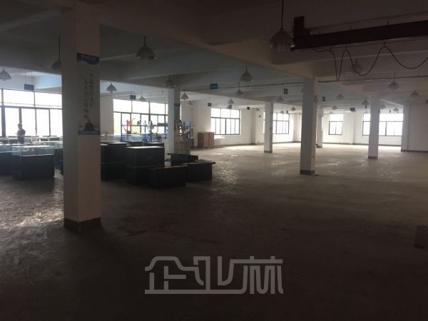 上海松江区洞泾镇沈砖公路5100号二楼出租