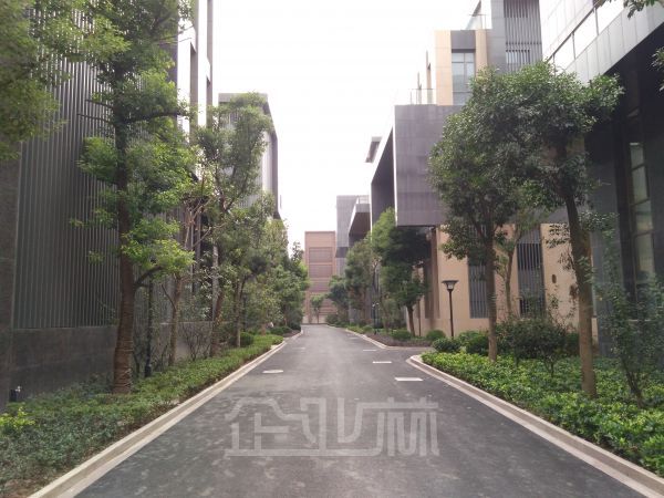 厂房正门图