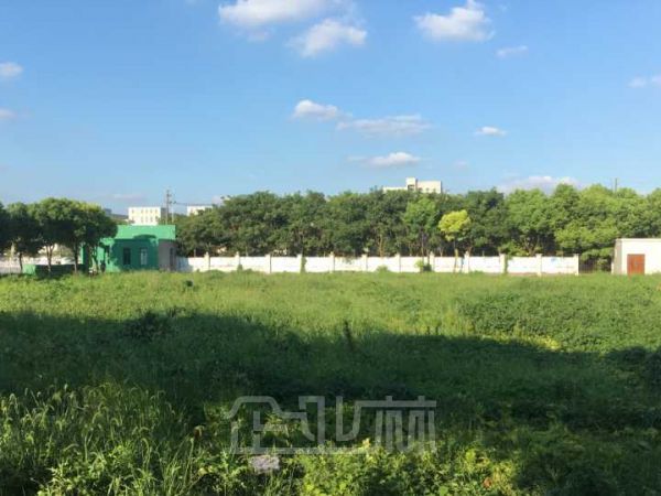 无污染高税收企业定向建造厂房 独门独院30亩