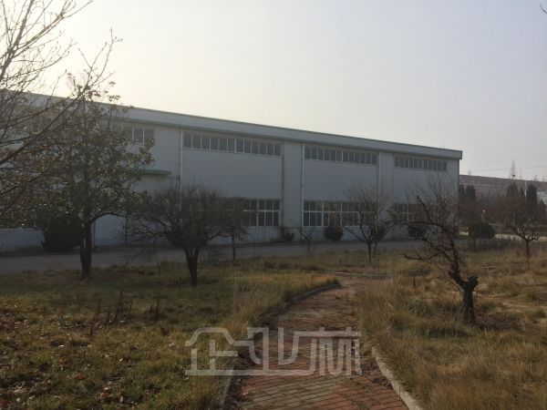出售烟台海阳高标准单层厂房仓库及可开发工业用地 产证齐全