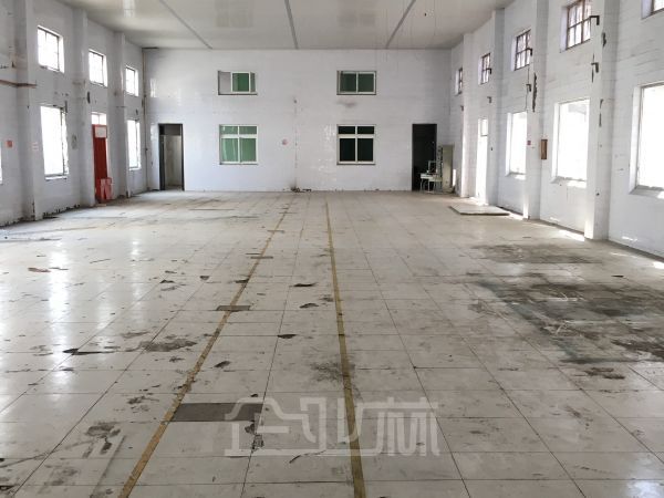 闵行 全单层仓库3500平 6米