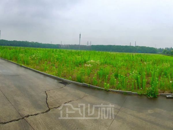厂房正门图