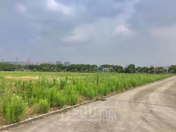 土地正门图