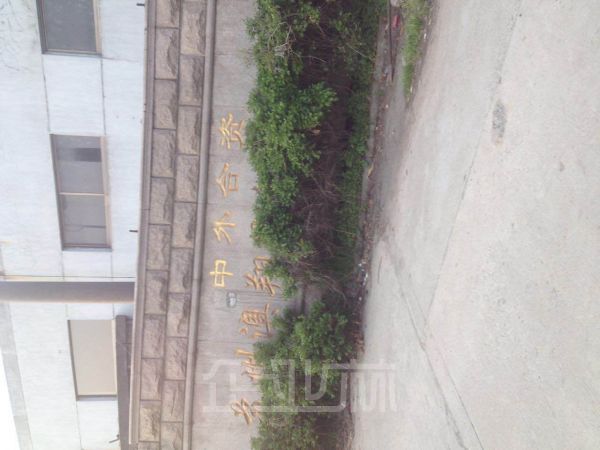 (出售）吴江震泽 震泽镇桃花庄村19组 厂房 5530平米