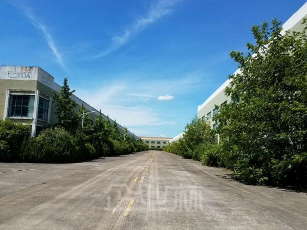 长兴占地100亩建3万平方单层厂房