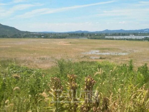 长兴一手带指标土地200亩出让    售价23.5万/亩