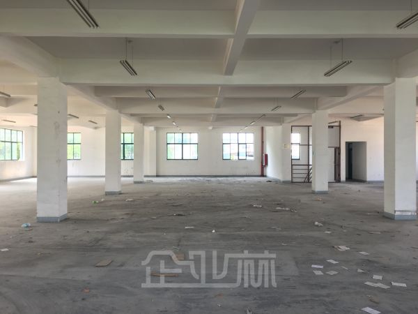 七宝 104板块 双层厂房6300平 5米
