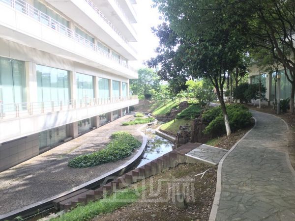 办公正门图