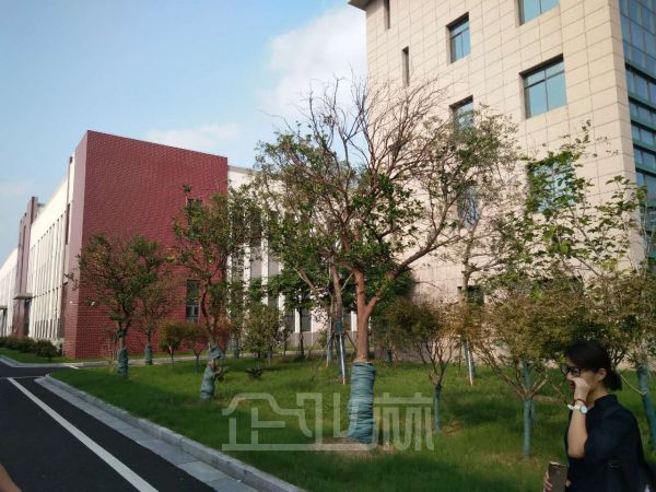 厂房正门图