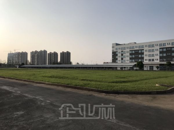 土地正门图