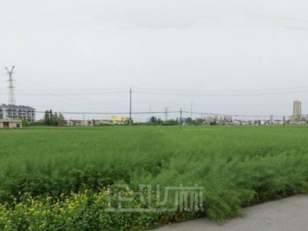 江苏南通39亩一手土地出让