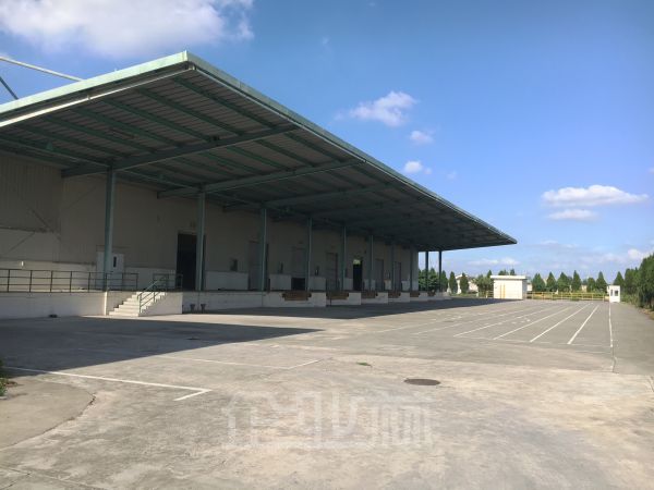 近上海 高平台单层物流仓库3.8万平 7米