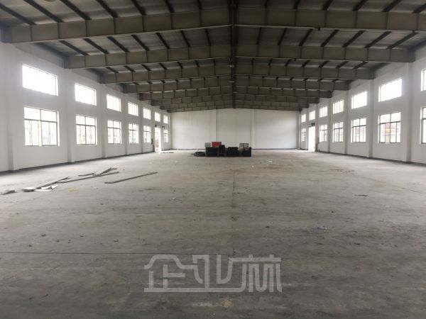 佘山 独门独院104板块厂房 2100平 8米