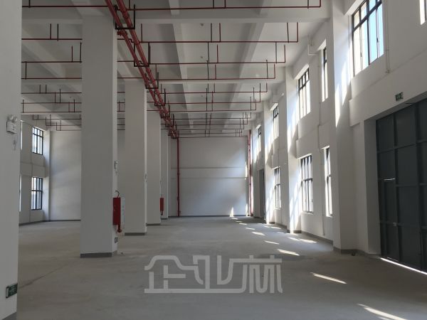 九亭 新建104厂房1万平 可注册可办环评