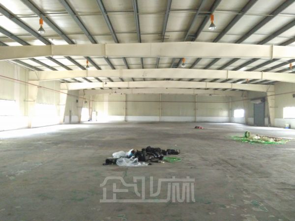 佘山 单层火车头2940平 8米