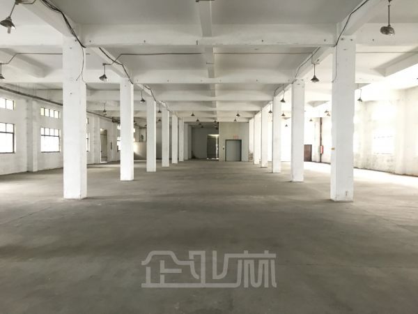 松江工业区 独门独院双层厂房4700平便宜出售