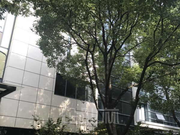 厂房正门图